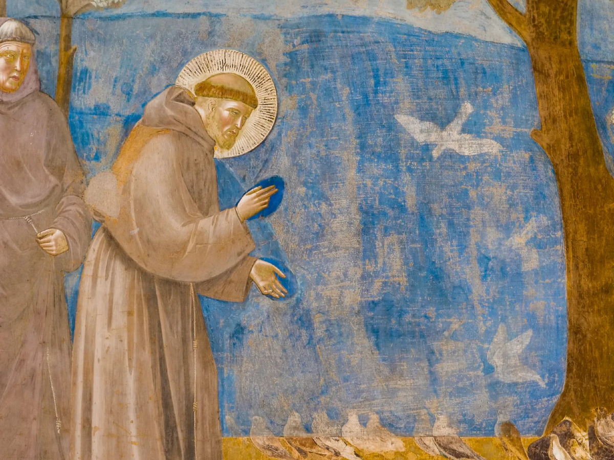CIF VERONA Francesco D'Assisi tra storia, spritualità e arte